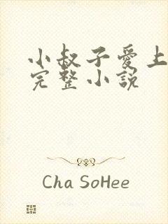 小叔子爱上嫂嫂完整小说