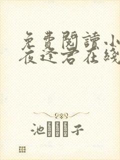 免费阅读小说此夜逢君在线阅读全文