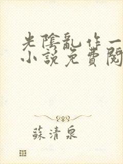 光阴乱作一团的小说免费阅读