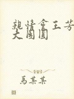 亲情会王芳高敏大团圆封面