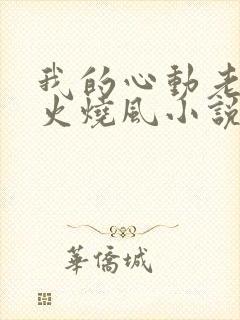 我的心动老板娘火烧风小说无删减版