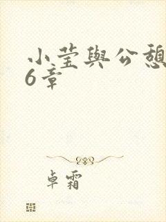 小莹与公憩第26章封面