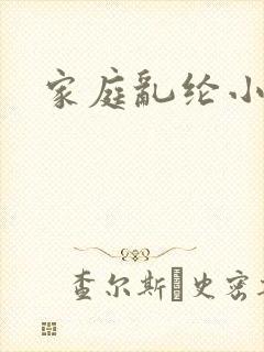 家庭乱纶小说封面