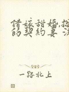 错嫁甜婚,总裁的契约妻 淇沅