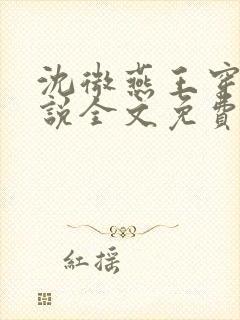 沈微燕王穿越小说全文免费阅读