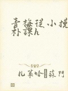 青梅从小摸到大补课h封面