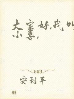 大家好,我叫林小喜,封面
