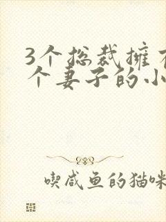 3个总裁拥有一个妻子的小说封面