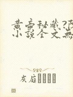 黄帝秘藏?陈启小说全文无删减
