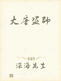 大唐盗帅