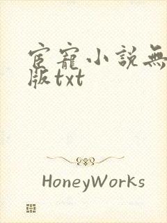 宦宠小说无删减版txt