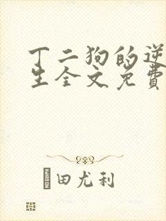 丁二狗的逆袭人生全文免费阅读封面