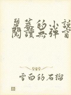 丽蓉的小说全文阅读无弹窗