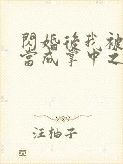 闪婚后我被大佬当成掌中之物封面