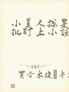小美人总是被疯批盯上小说阅读封面