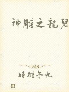 神雕之龙儿别传封面