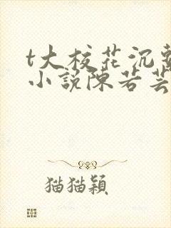 t大校花沉系列小说陈若芸