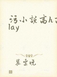 污小说高h高play