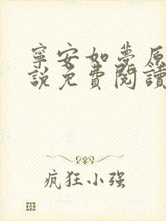 宁安如梦原著小说免费阅读