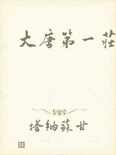 大唐第一庄