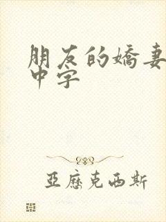 朋友的娇妻hd中字封面