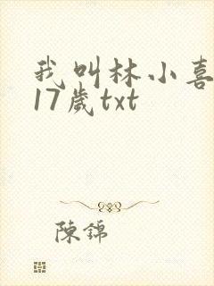 我叫林小喜今年17岁txt