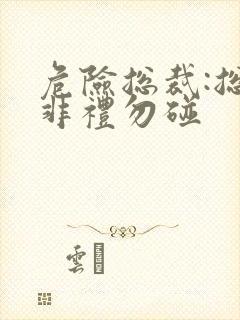 危险总裁:总裁非礼勿碰封面