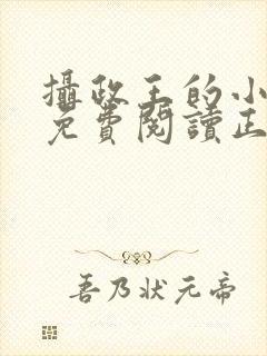 摄政王的小闲妻免费阅读正版封面