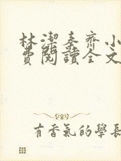 林洁秦齐小说免费阅读全文最新章节封面