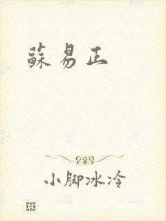 苏易正封面