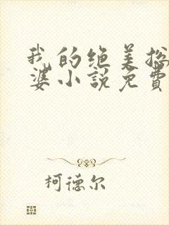 我的绝美总裁老婆小说免费阅读全文