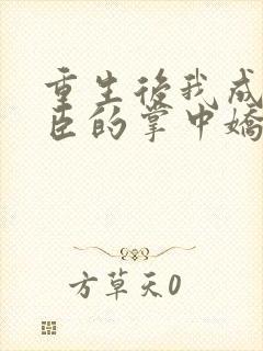重生后我成了权臣的掌中娇哪里看封面