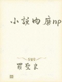 小说肉糜np