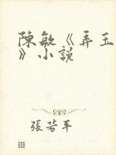 陈敏《弄玉偷香》小说封面