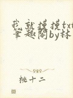 我就摸摸txt笔趣阁by林西