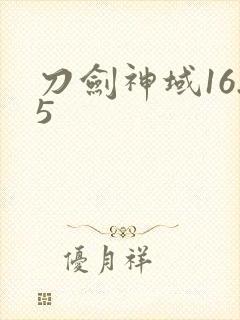 刀剑神域16.5
