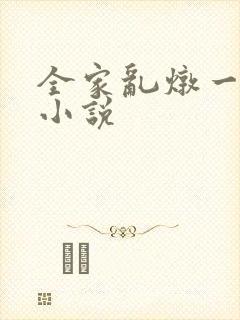 全家乱炖一锅烩小说
