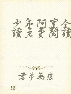 少年阿宾全文阅读免费阅读