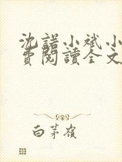 沈诺小斌小说免费阅读全文最新章节
