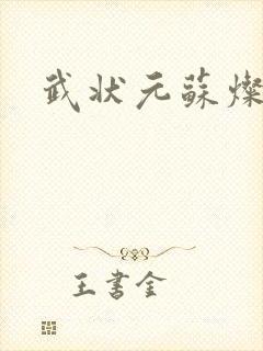 武状元苏灿