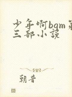 少年啊bgm第三部小说