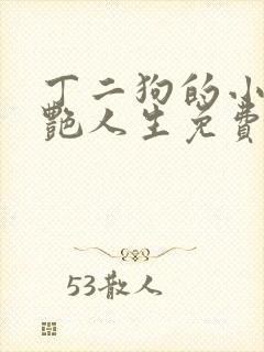 丁二狗的小说猎艳人生免费阅读全文