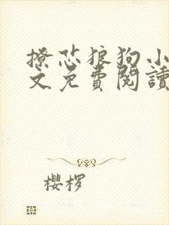 撩芯狼狗小说全文免费阅读封面