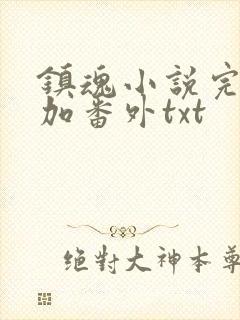 镇魂小说完整版加番外txt