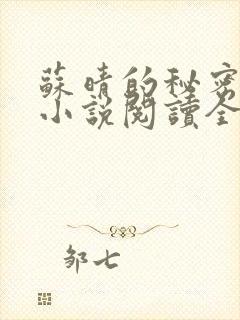 苏晴的秘密言情小说阅读全文免费