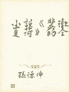 小说《裴彻江晚夏荷》的全文阅读