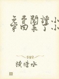 免费阅读小奶团穿回来了小说