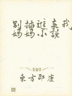 别插进来我是你妈妈小说