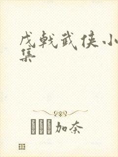戊戟武侠小说全集