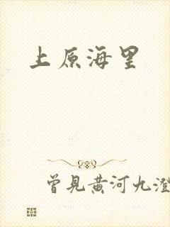 上原海里封面